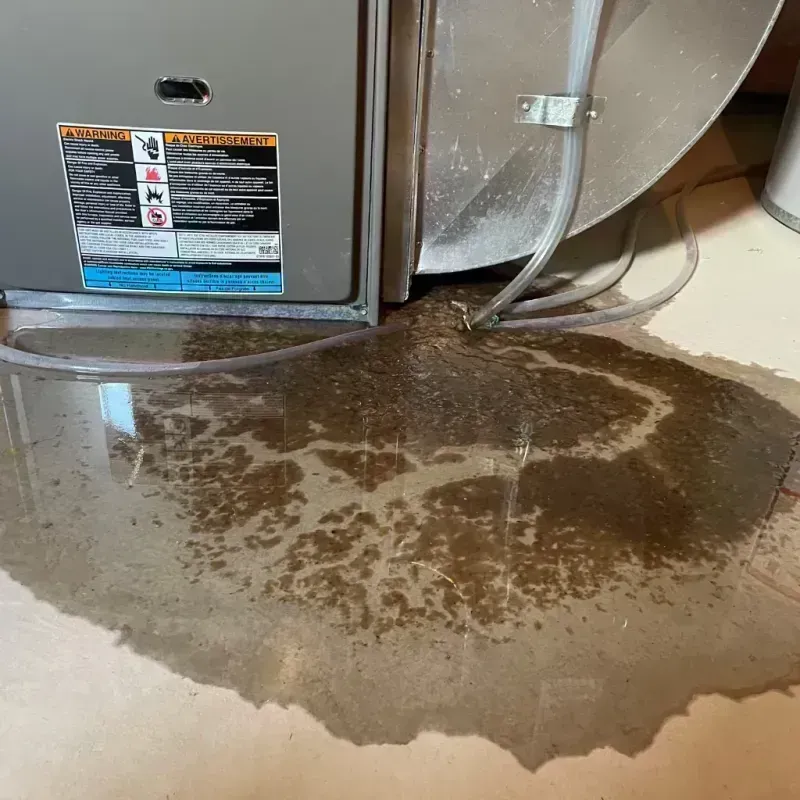 Appliance Leak Cleanup in Woodburn, OR